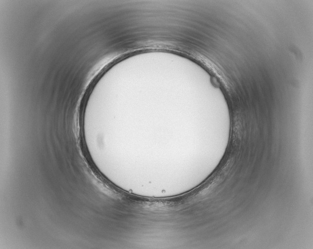 X0000115241082200911271838