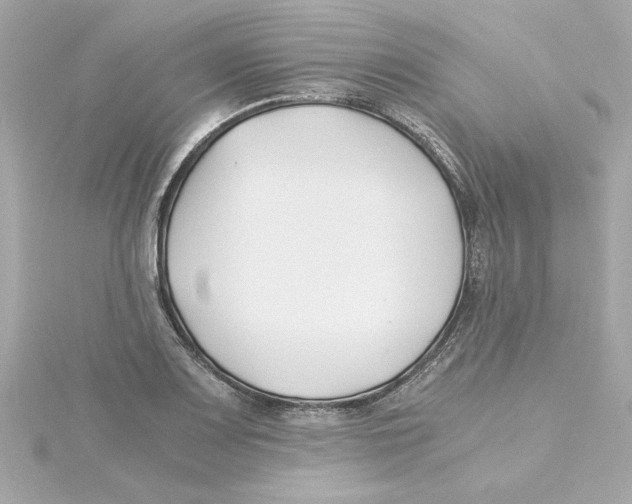 X0000115241083200911271838