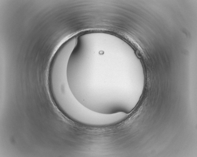 X0000115241085200911271838