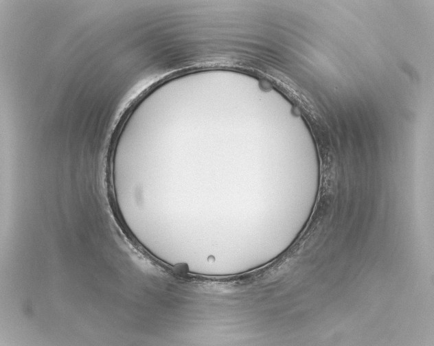 X0000115241086200911271838