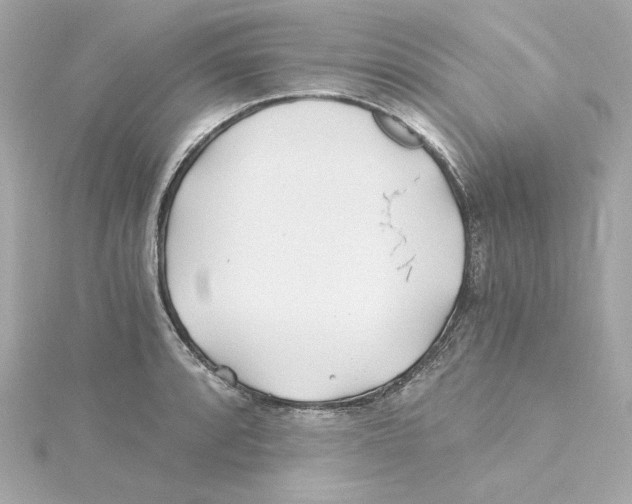 X0000115241088200911271838