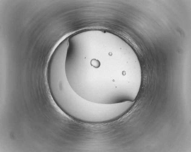 X0000115241092200911271838