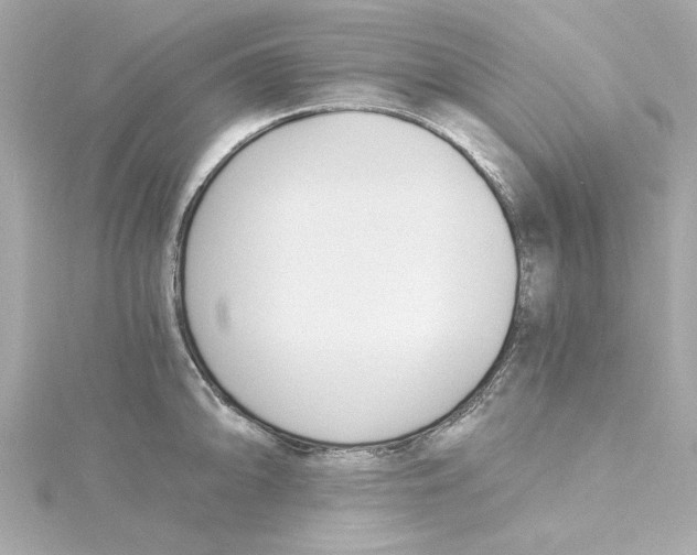 X0000115241094200911271838