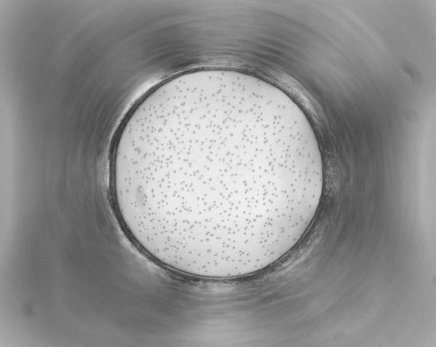 X0000115241095200911271838