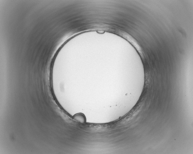 X0000115241099200911271838