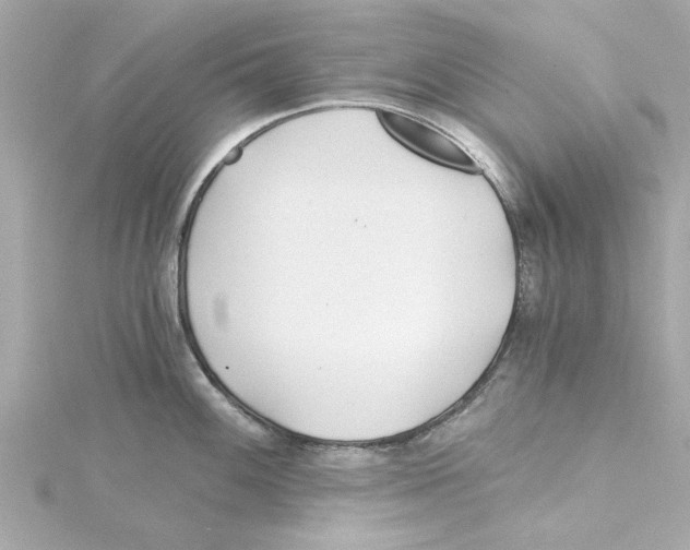 X0000115241100200911271838