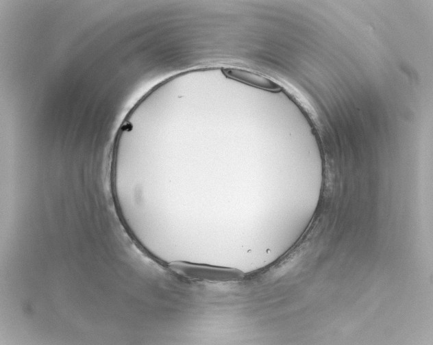 X0000115241102200911271838