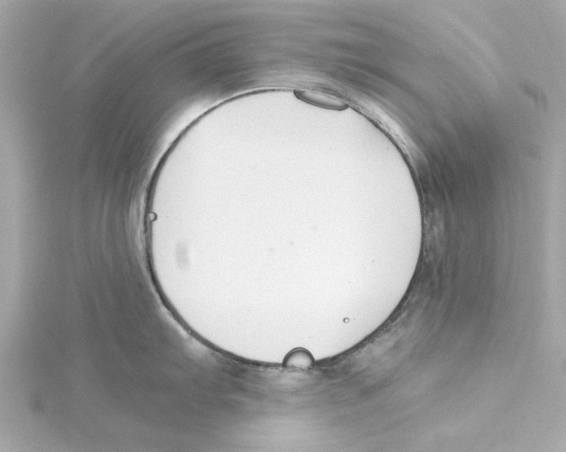 X0000115241103200911271838