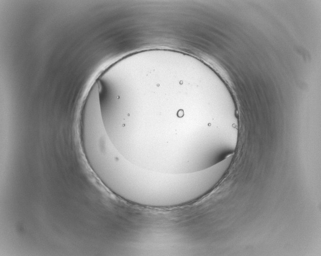 X0000115241104200911271838