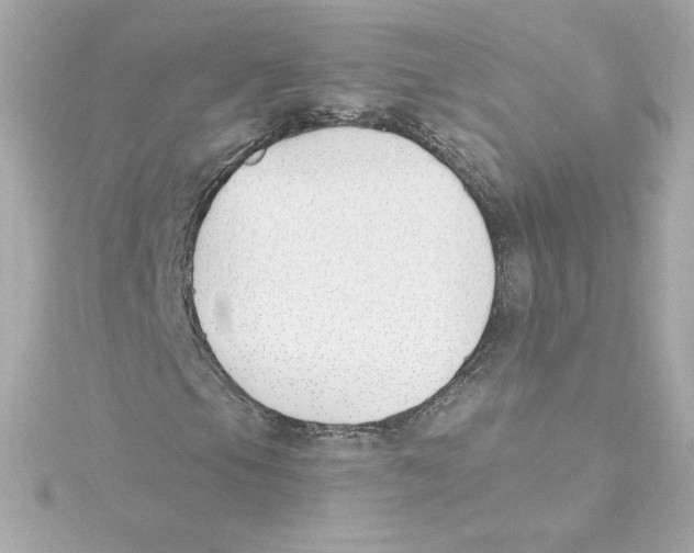 X0000115241105200911271837