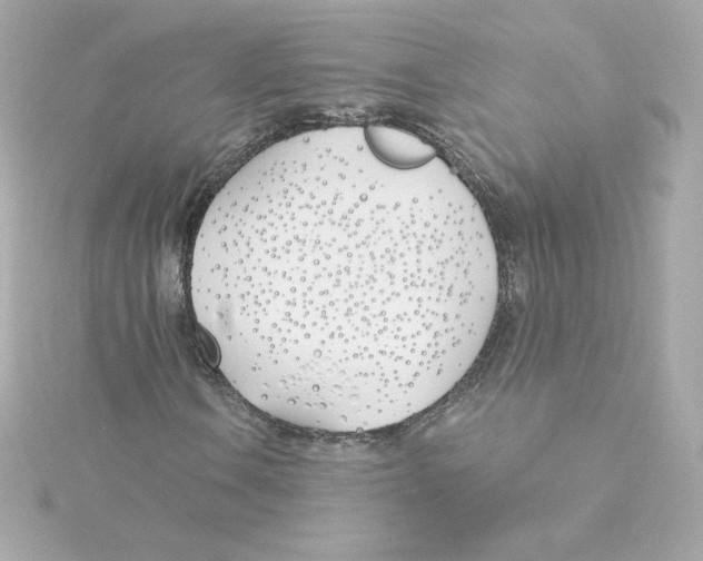 X0000115241106200911271837