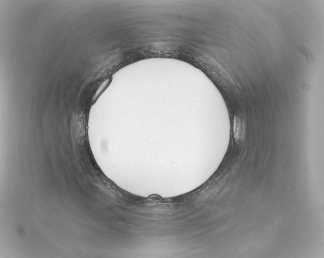 X0000115241107200911271837