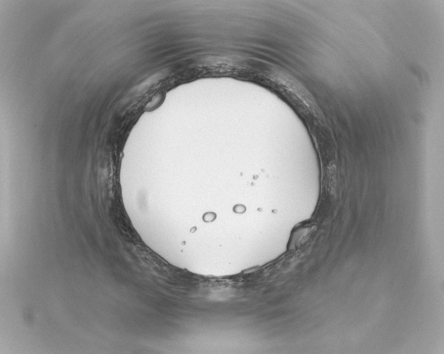 X0000115241111200911271837