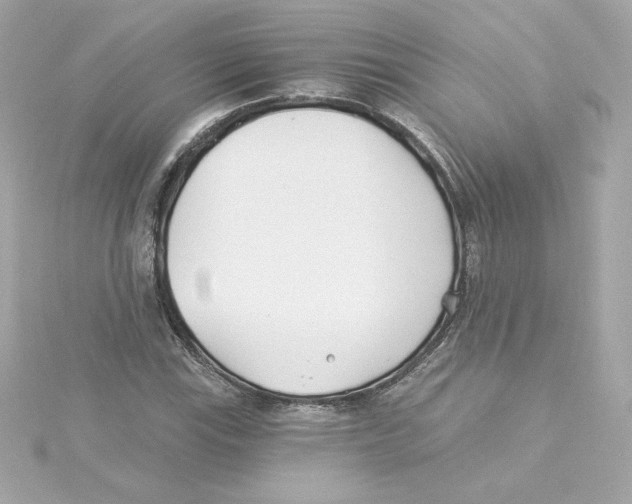 X0000115241115200911271837