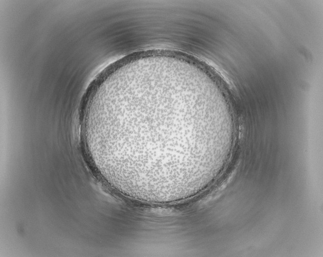 X0000115241117200911271837