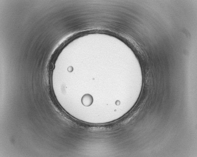 X0000115241118200911271837