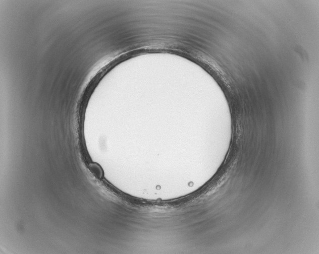 X0000115241122200911271837