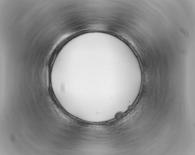 X0000115241123200911271837