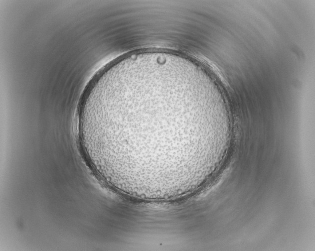 X0000115241125200911271837