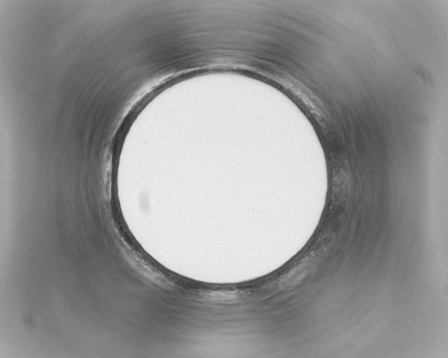 X0000115241126200911271837