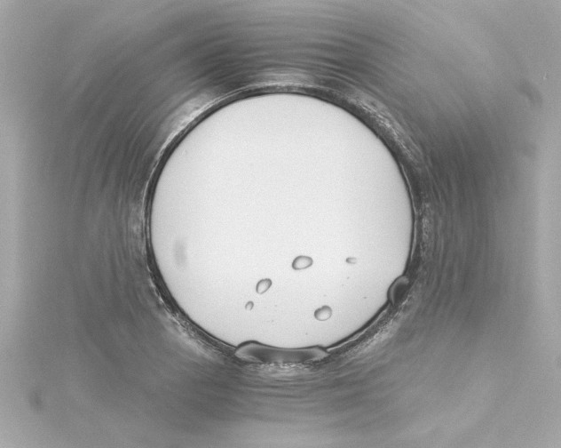 X0000115241129200911271837