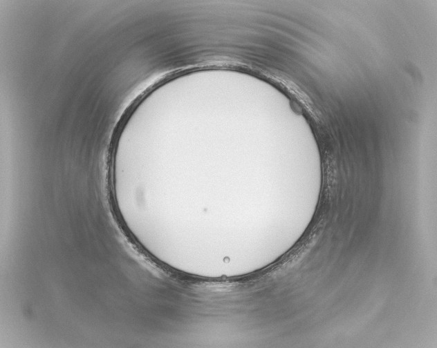 X0000115241134200911271837