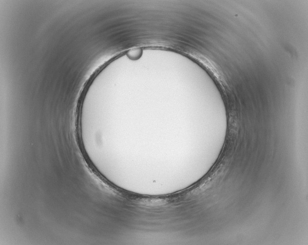 X0000115241135200911271837