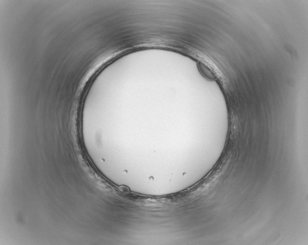 X0000115241138200911271837