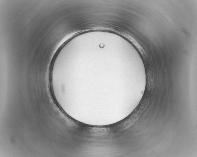 X0000115241142200911271837