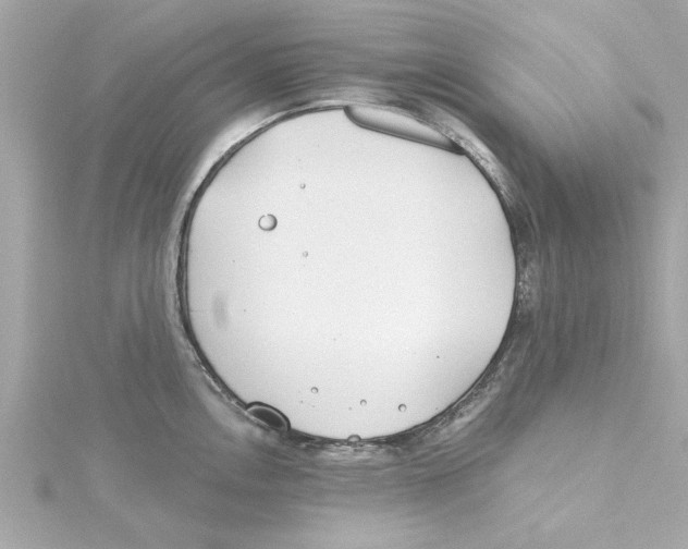 X0000115241146200911271837