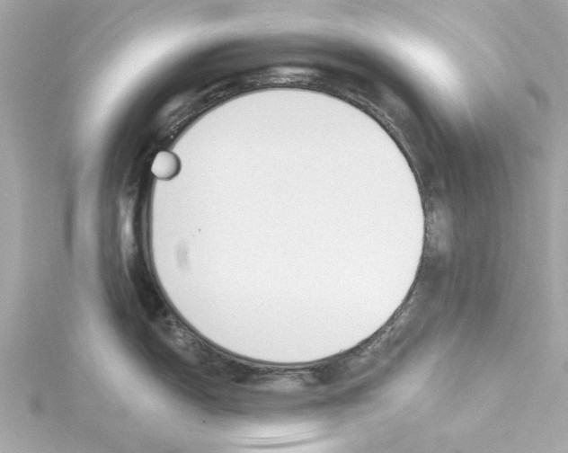 X0000115241150200911271838