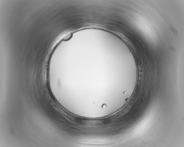 X0000115241151200911271838