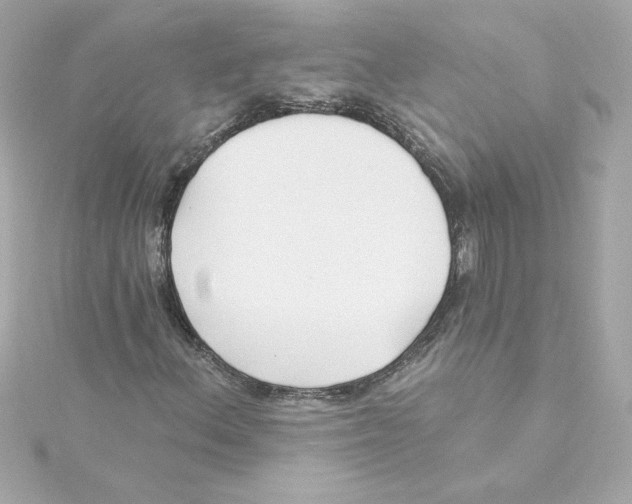 X0000115241156200911271837