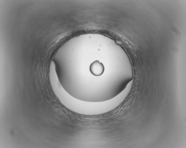 X0000115241157200911271837