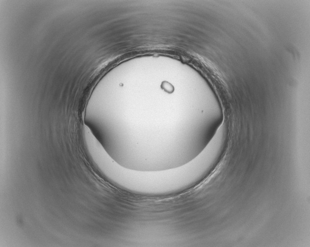 X0000115241161200911271837