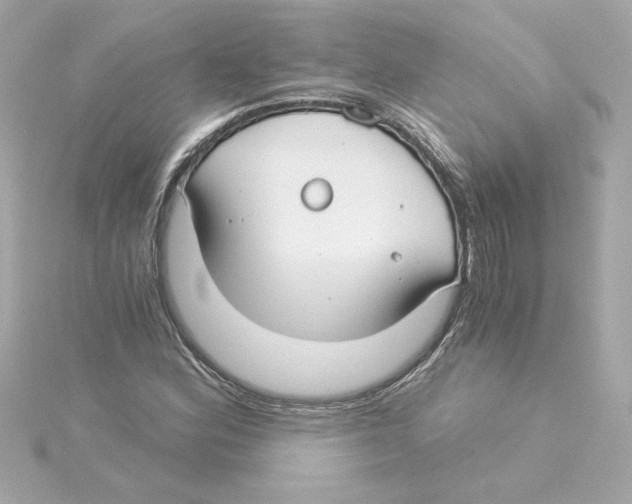 X0000115241164200911271837