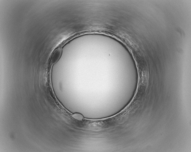 X0000115241165200911271837