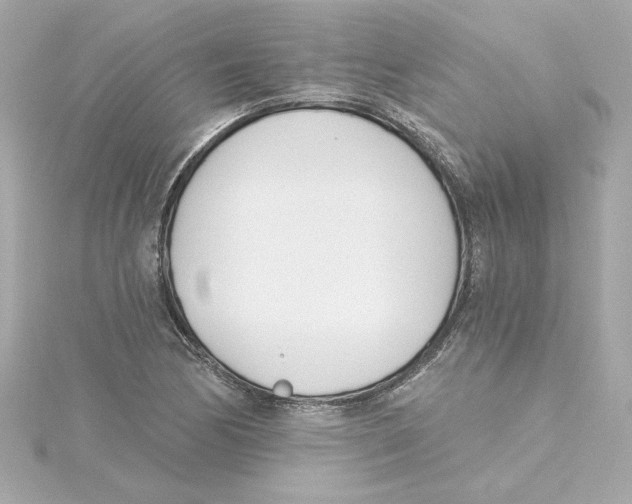 X0000115241170200911271837