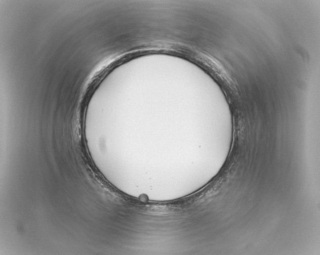 X0000115241172200911271837