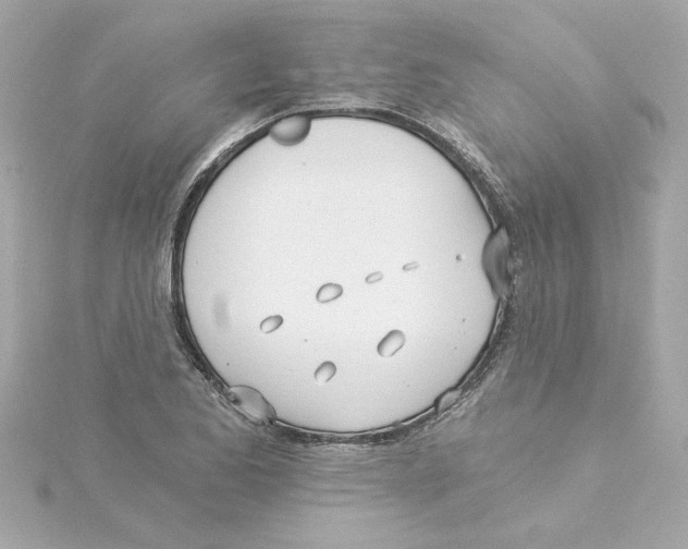 X0000115241173200911271837