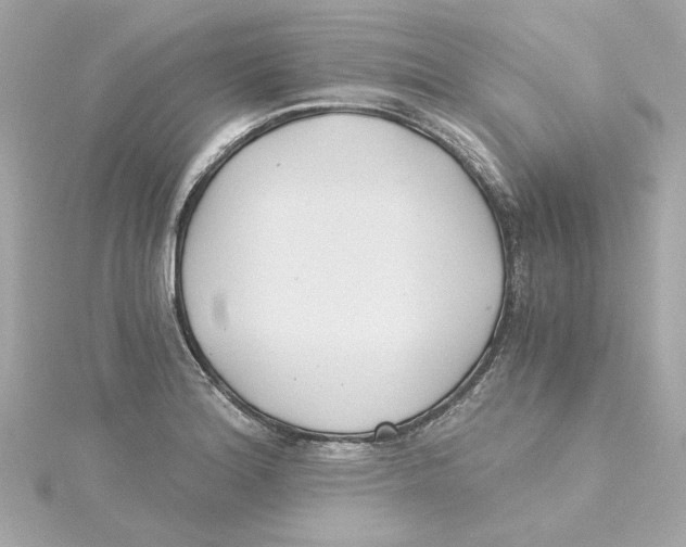 X0000115241180200911271837