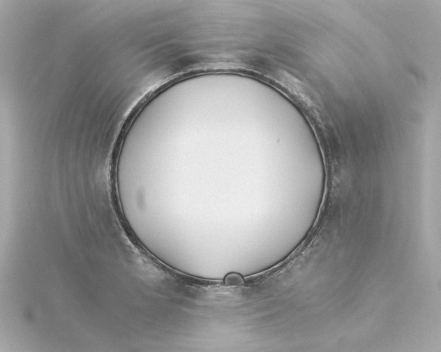 X0000115241181200911271837