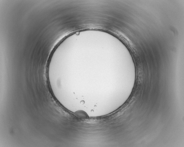 X0000115241182200911271837