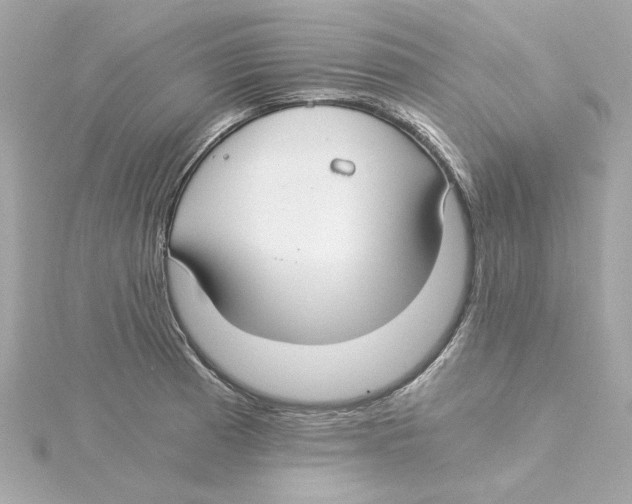 X0000115241185200911271837