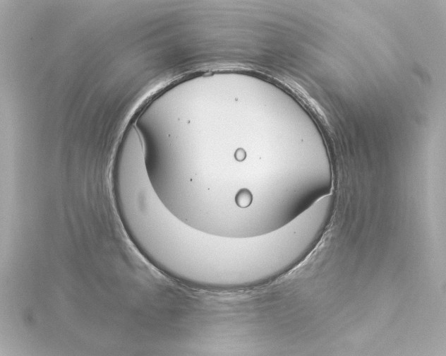 X0000115241189200911271836