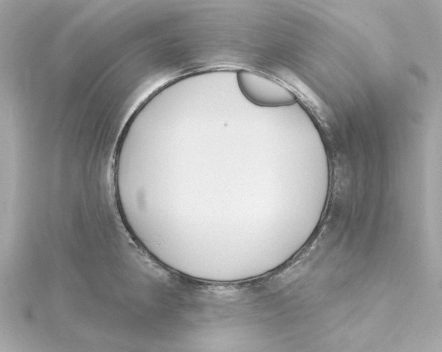 X0000115241190200911271836