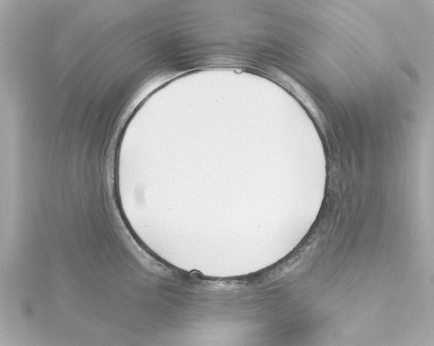 X0000115241195200911271836