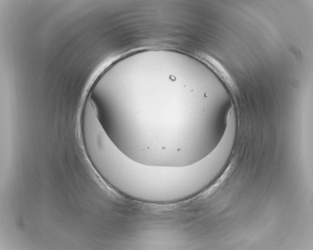 X0000115241196200911271836