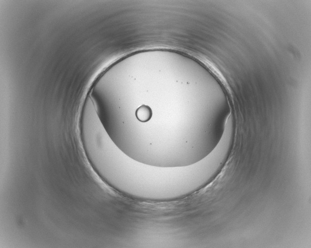 X0000115241197200911271836