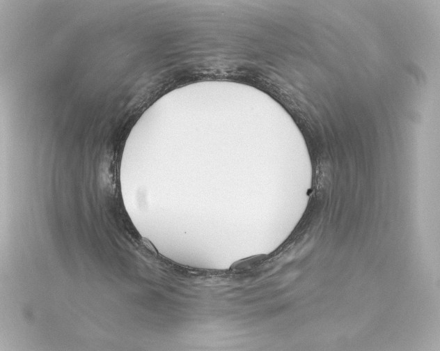 X0000115241202200911271836